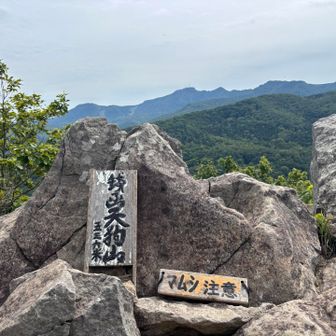一応撮っとく