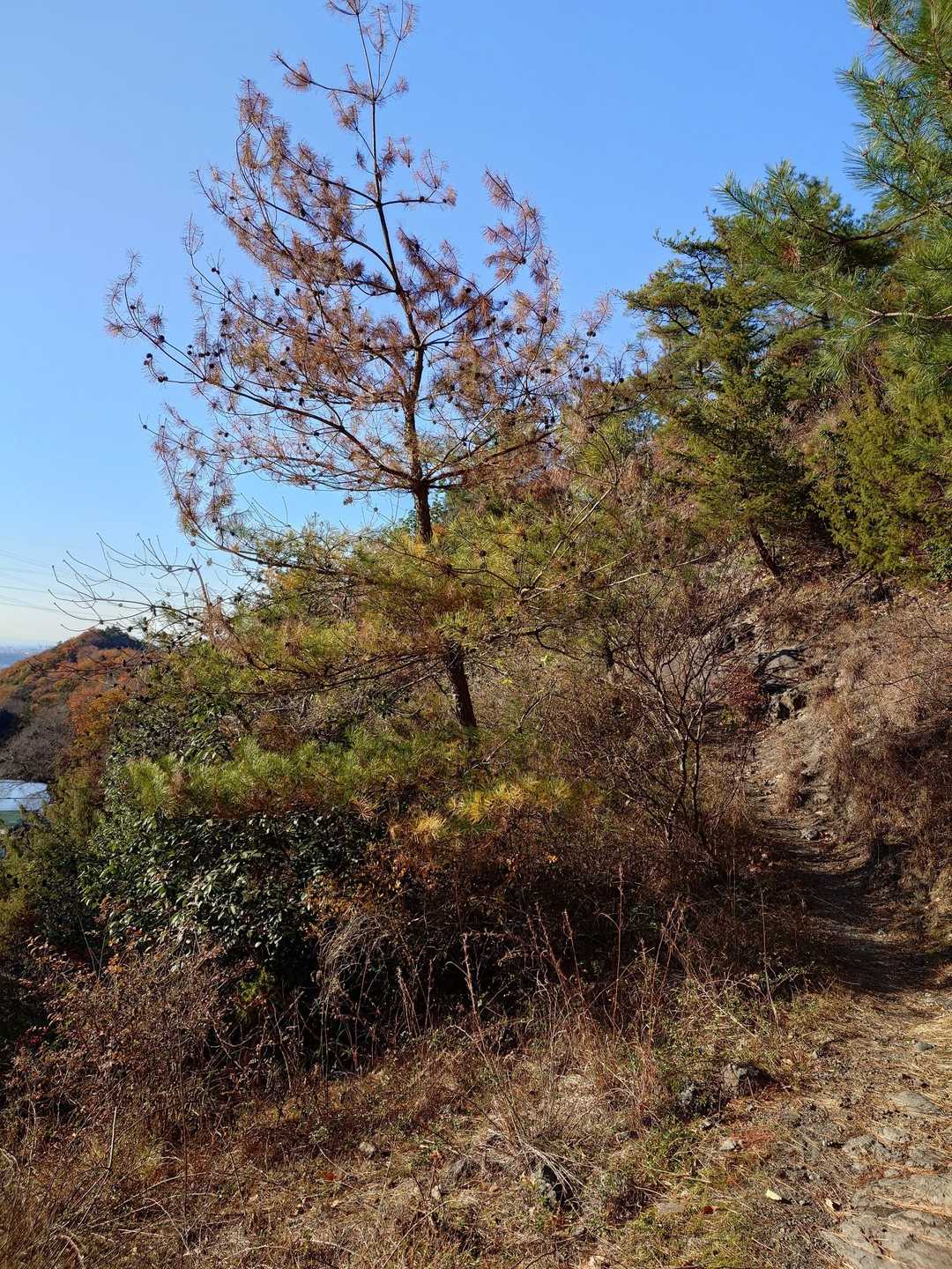 今日はここから。初めてのルートです。
なかなか岩岩していて、楽しそうです😊。