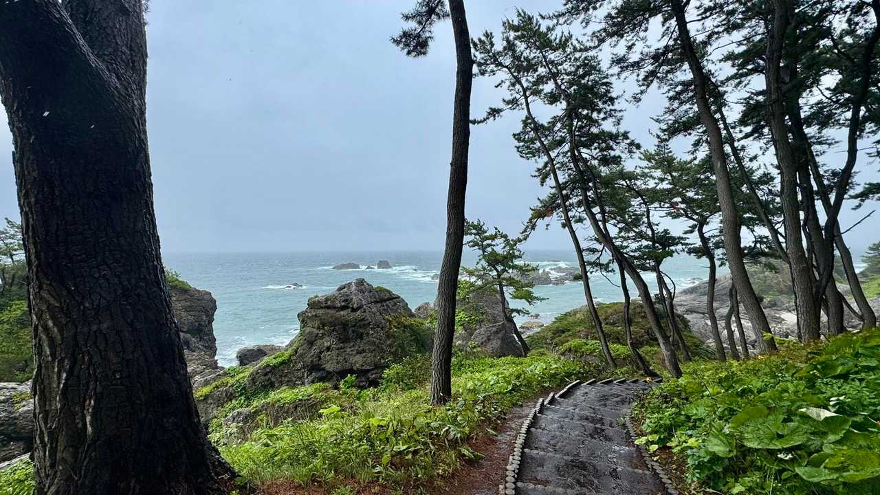 みちのく潮風トレイル（蕪島〜種差海岸）／青森遠征Day2 の写真 42