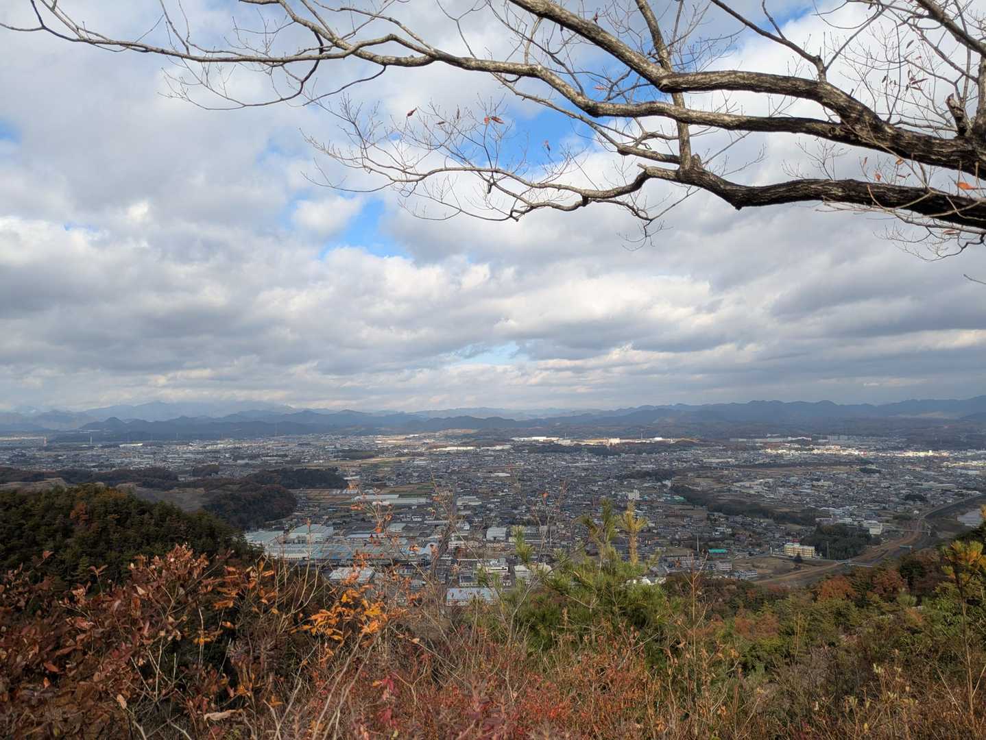 寂光院-継鹿尾山-石原登山口-鳩吹山-鳩吹山遊歩道カタクリ 縦走コースの写真