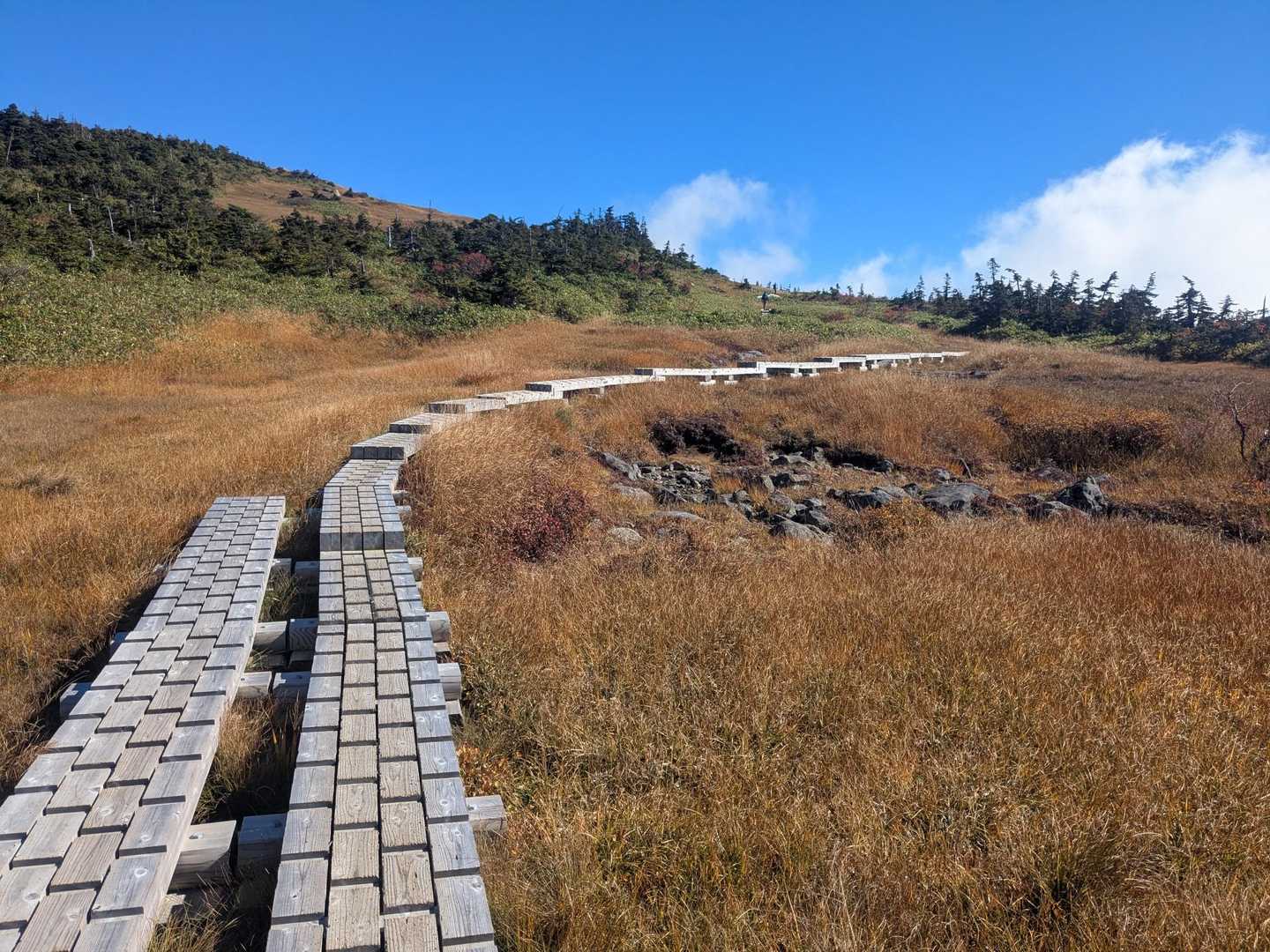 実は木道になってから山頂までは100m以上の登りですが、景色が良すぎる為気付いてません😅