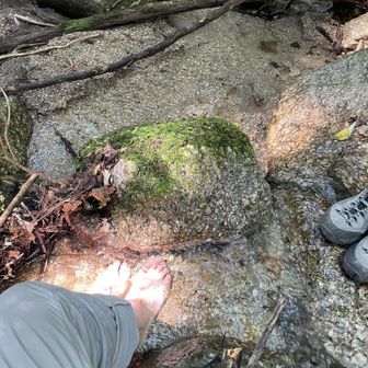 水が気持ちいい〜
疲れた足が生き返る🦶！