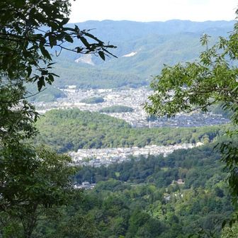 白鳥山山頂到着