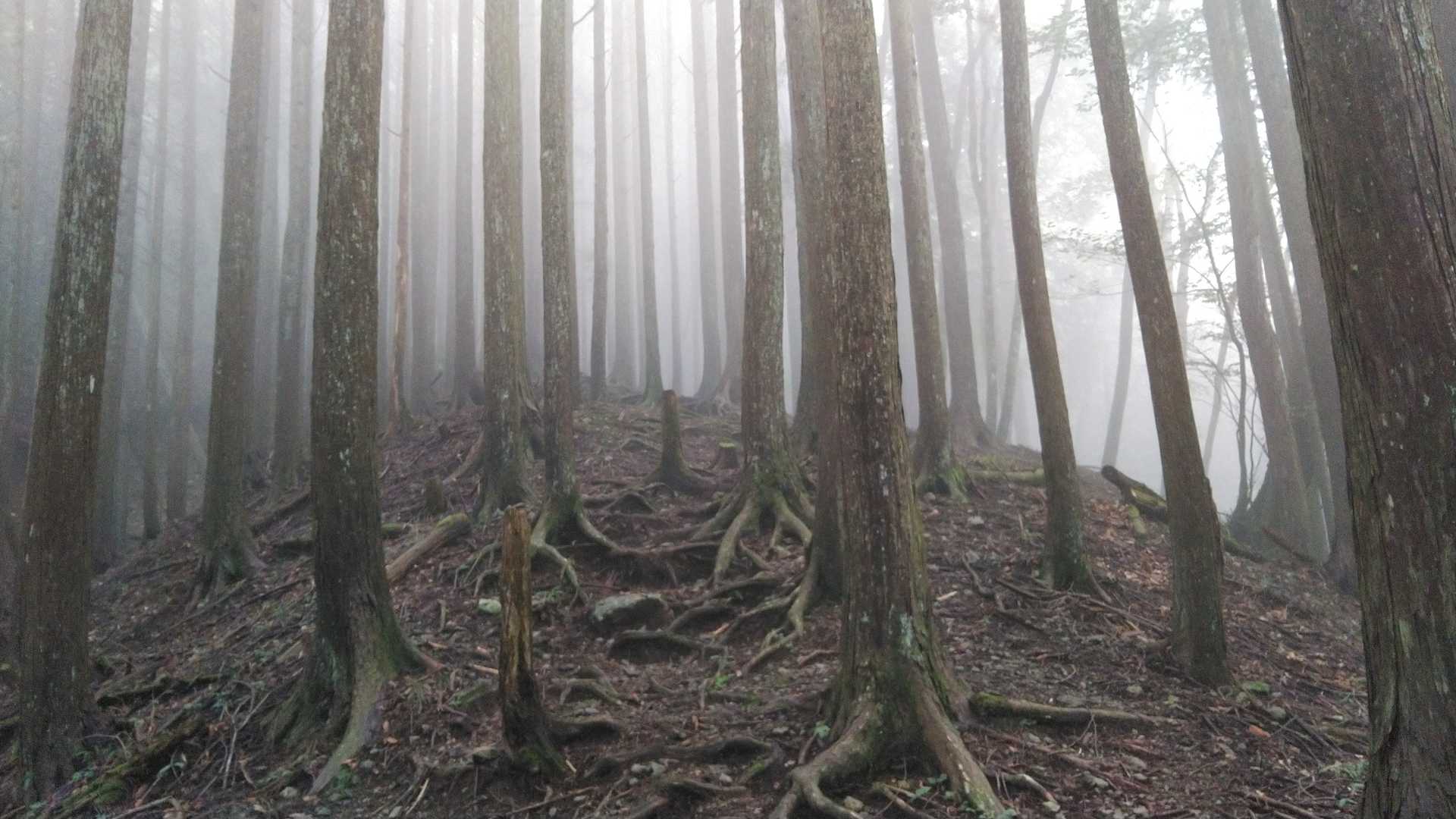 スモスモゾーンに突入
