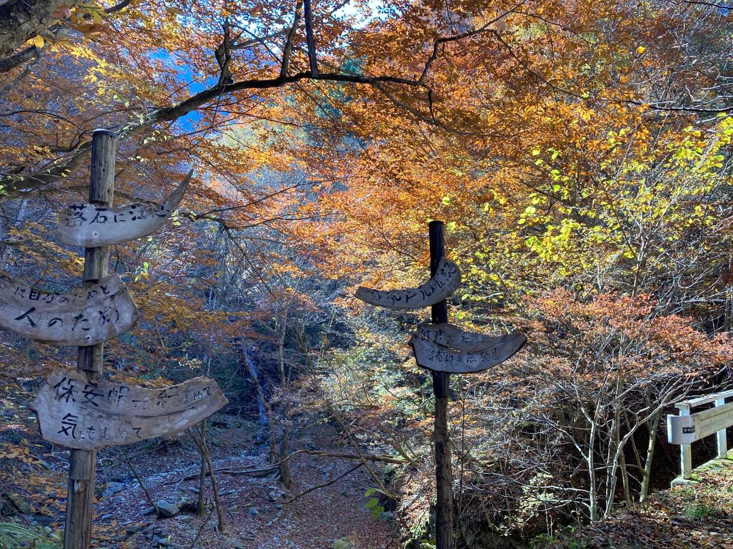 多い看板の奥に滝