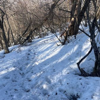 下山開始。山頂直下はスパイク推奨かもしれない。