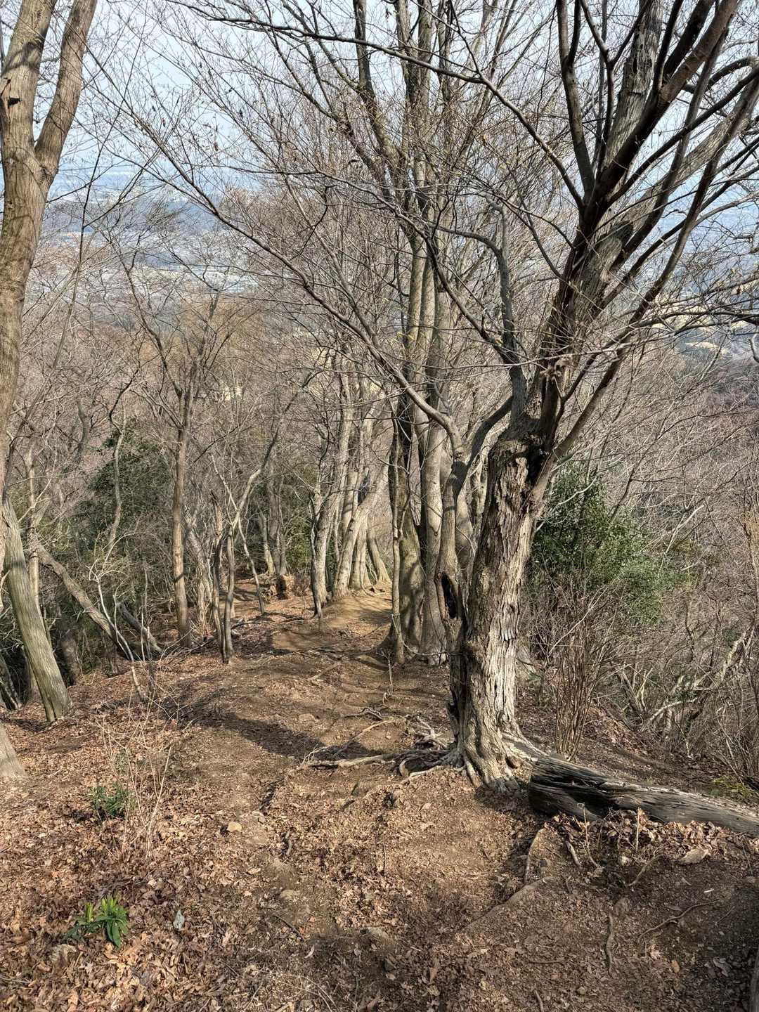 あと少し〜