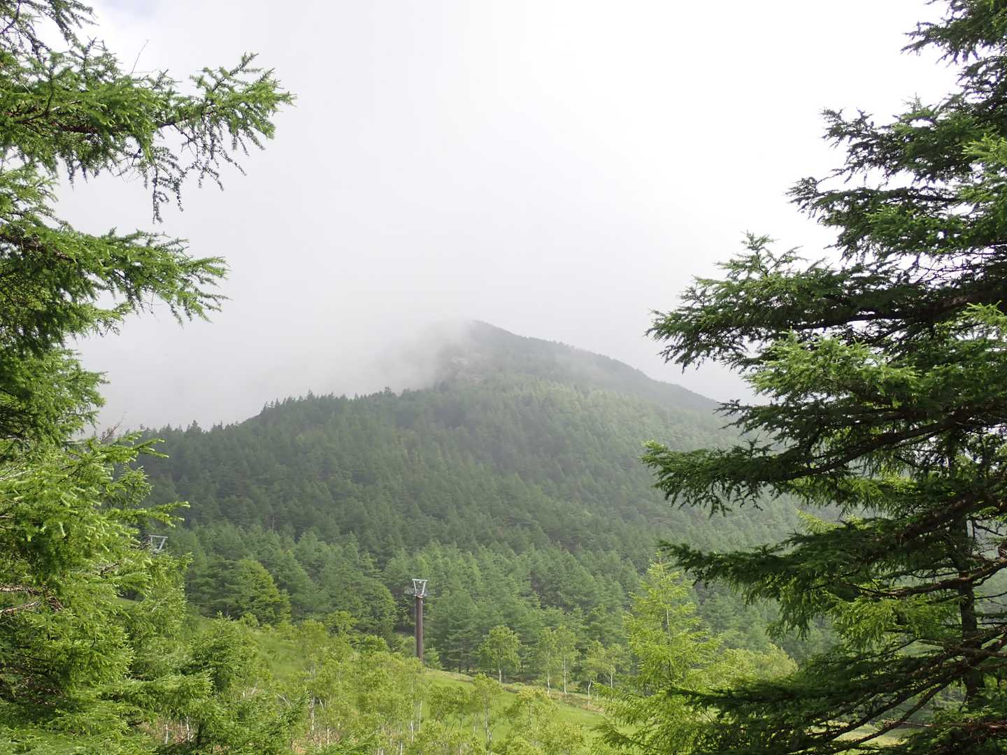 水の塔山方面　結構涼しそうでヨカヨカ。