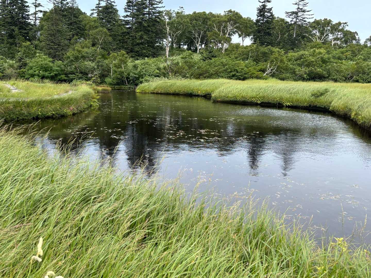 神仙沼周回｜整備された木道で楽しむ湖沼と湿原の楽園の写真