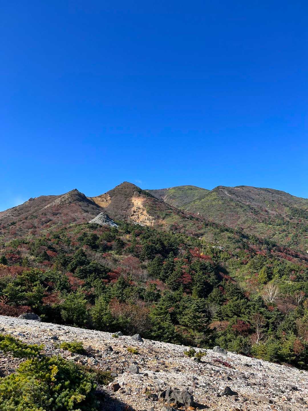 003_賽河原-駱駝山 往復コースの写真