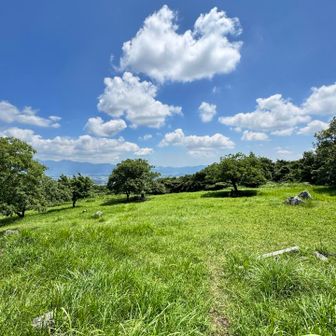 山頂北側の斜面は草原で、ベンチがある。
