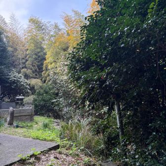 勝木山はお墓でした。