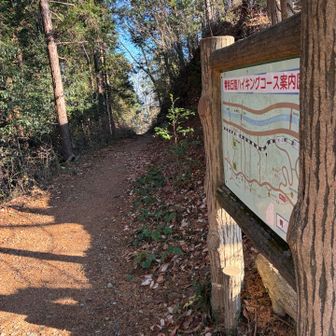 永山公園方面へ