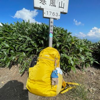 今日のお供