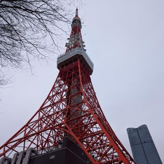昔の話しが多くて申し訳ないですが…
修学旅行の途中、生徒さん達がくすくすっと笑いだし
ん？なんかした？と隣を見ると
運転手さんが、ねぇ？自分でなんて言ったかわかってないでしょ？って
なんと、東京タワー高さ33メートルとドヤ顔で案内してた私😱
低すぎるでしょ😱