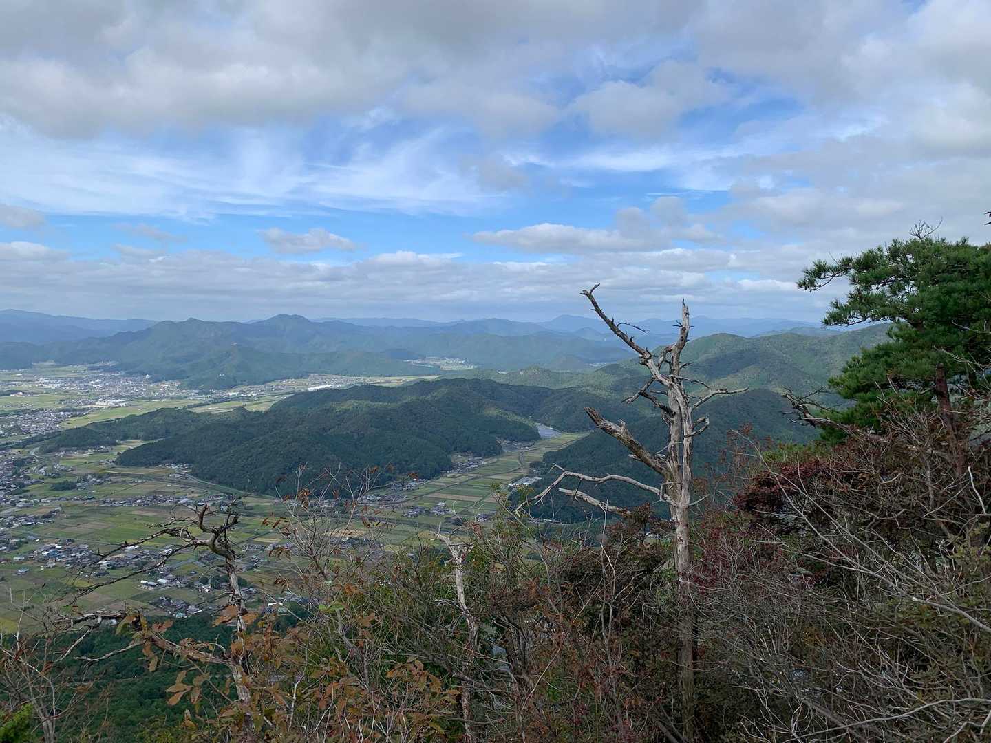 三尾山 往復コースの写真