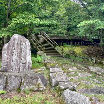 今日は先行者０でした。
