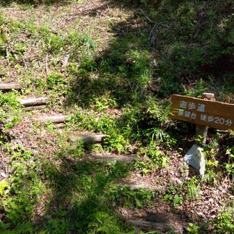 山道終わり〜