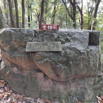 いつもの座禅石😌