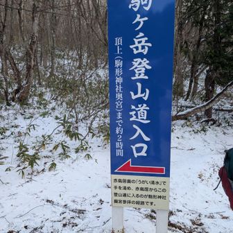 思ったより雪😰