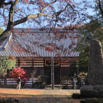 境内には 野鳥撮影の人がひとりだけ、静かでした