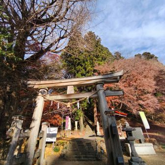 西金砂神社⛩️
左に大銀杏、右は大紅葉かな？
どちらもスッカリ落葉して､､🍂
地割の🍁は、どうかしら？
最近、しっかり霜が下りてますものねぇ
間に合うか〜？