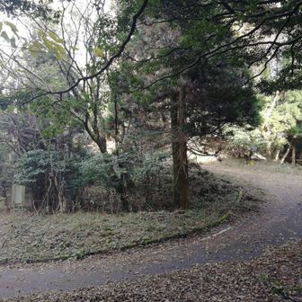 林道を左へ、またすぐ谷あいに入る。右の谷あいに下りれば、ドリーネの大穴につながる。