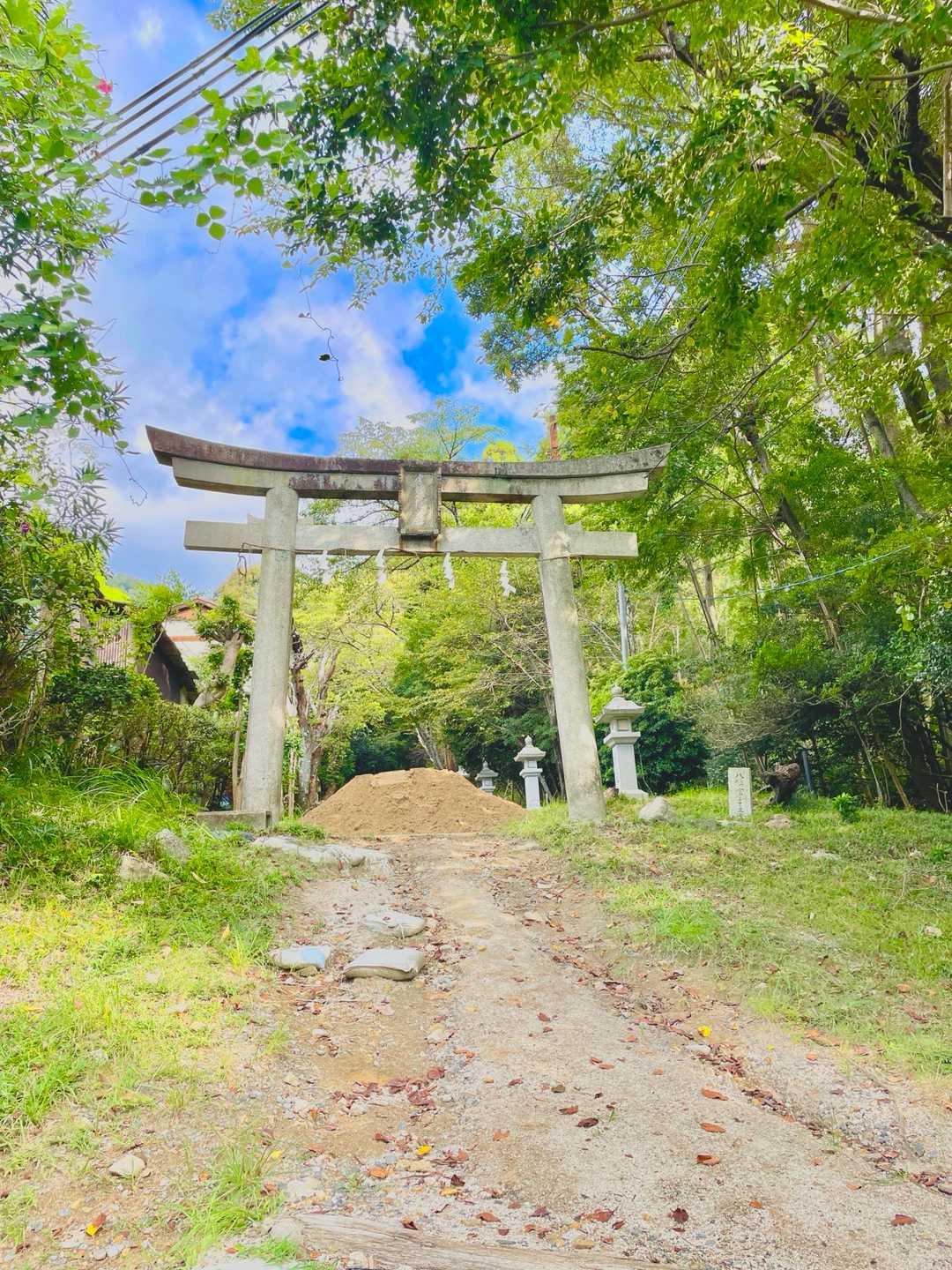 宇佐山 往復コースの写真