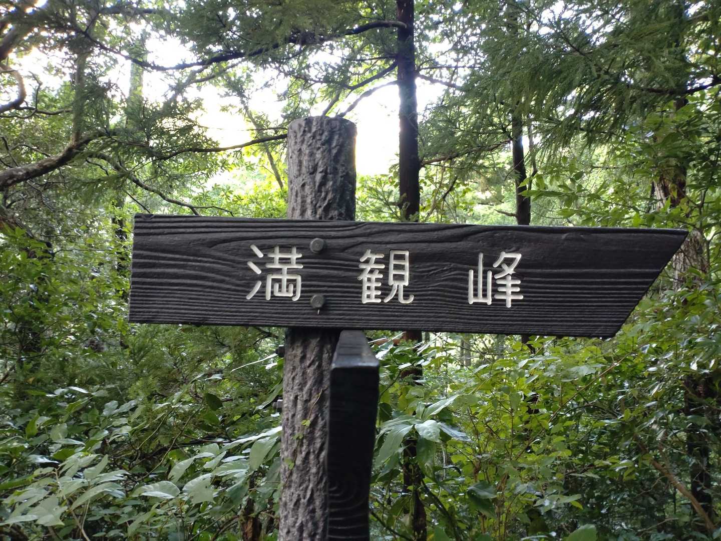 定点観察