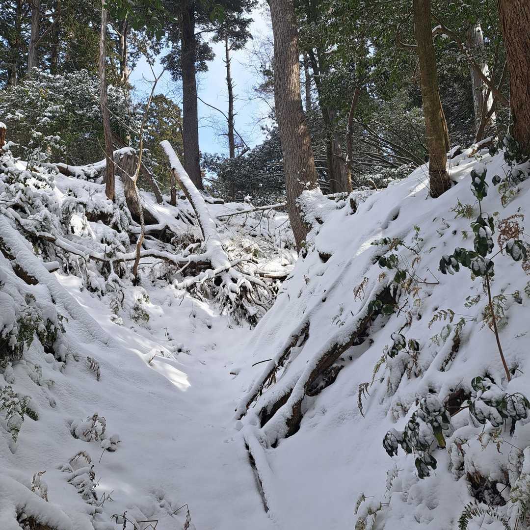 ここを進んだ