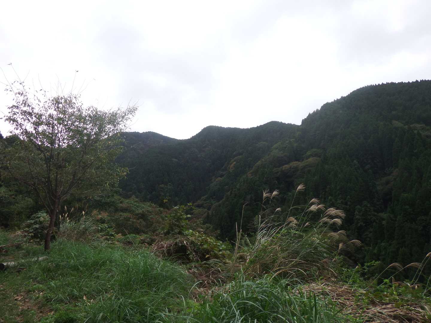 この風景好き(^^♪
山のようで山じゃなく　尾根なんですよね