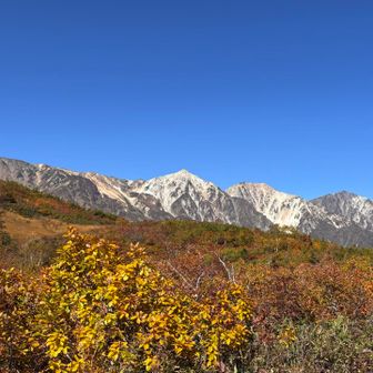 からの白馬三山
見納め。