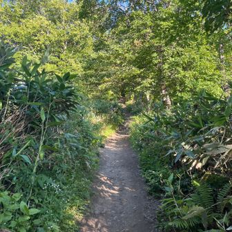 馬の背少し上

🅿️でチッガーさんとバタリ🙌
しばしお山のお話しなどなど⛰️
楽しいひと時でした🎶
