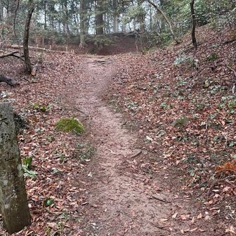 大松山城跡です。
