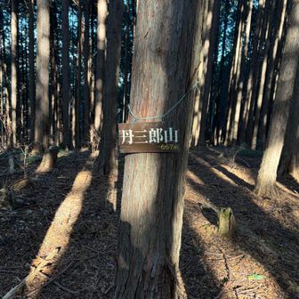 丹三郎山に寄り道した
眺望なし