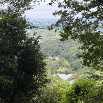 谷津池が見える