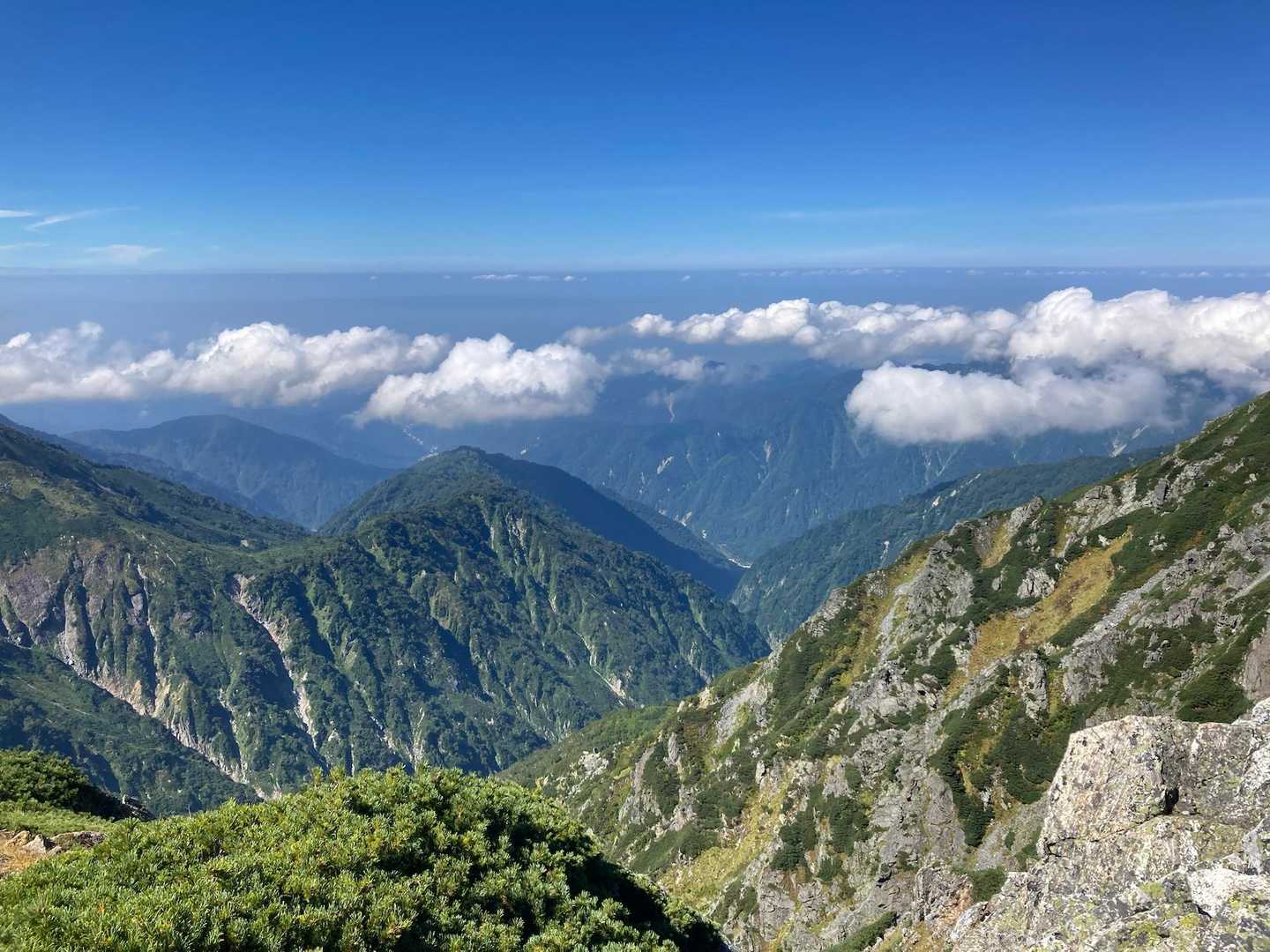 別山 往復コースの写真