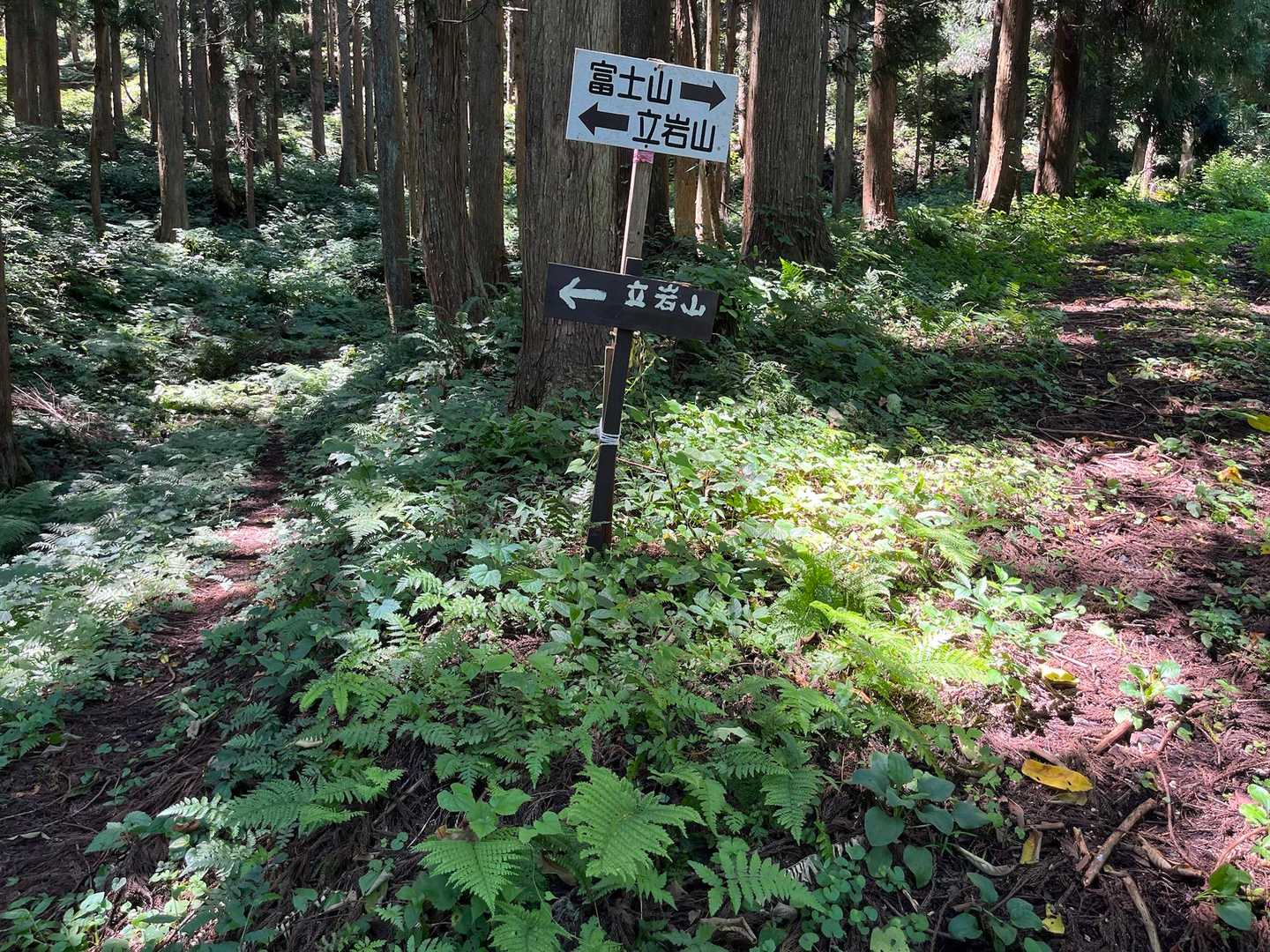 シダで道が判らなかったのでYAMAPの地図を頼りにその方向に歩くとルートに戻りました。
立岩山へ。
