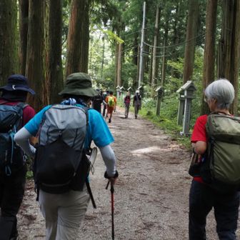 キーコさん、まきさんと一緒に園地に向かいます。