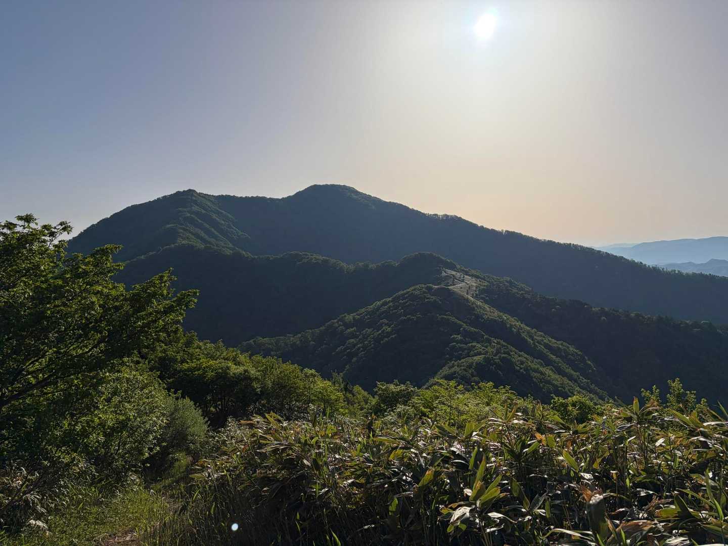 振り返り下蒜山⛰️眩しい☀️