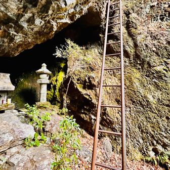 ぶるんっぶるんっしなる梯子。大丈夫？