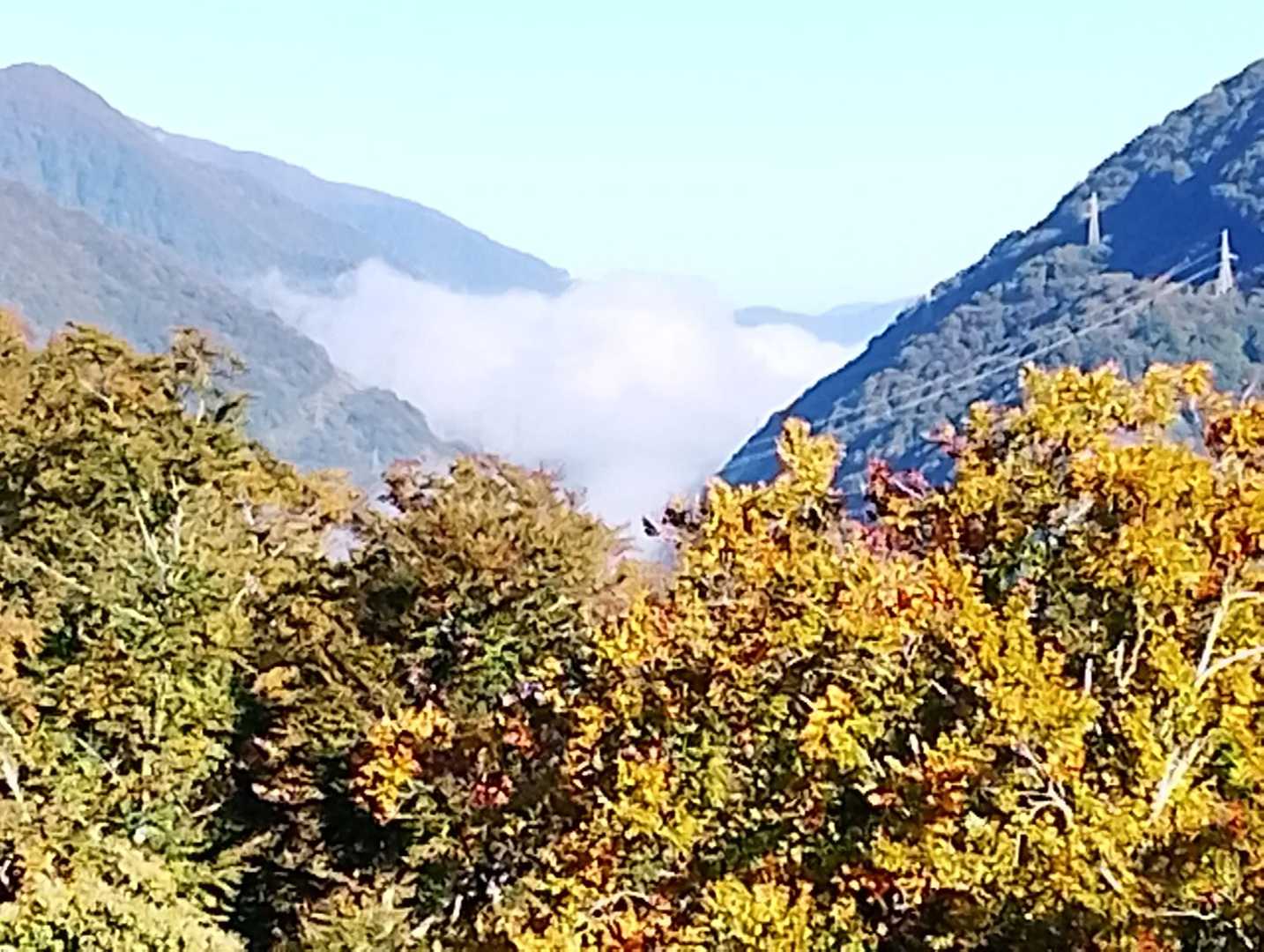 白川郷方面雲海が👍