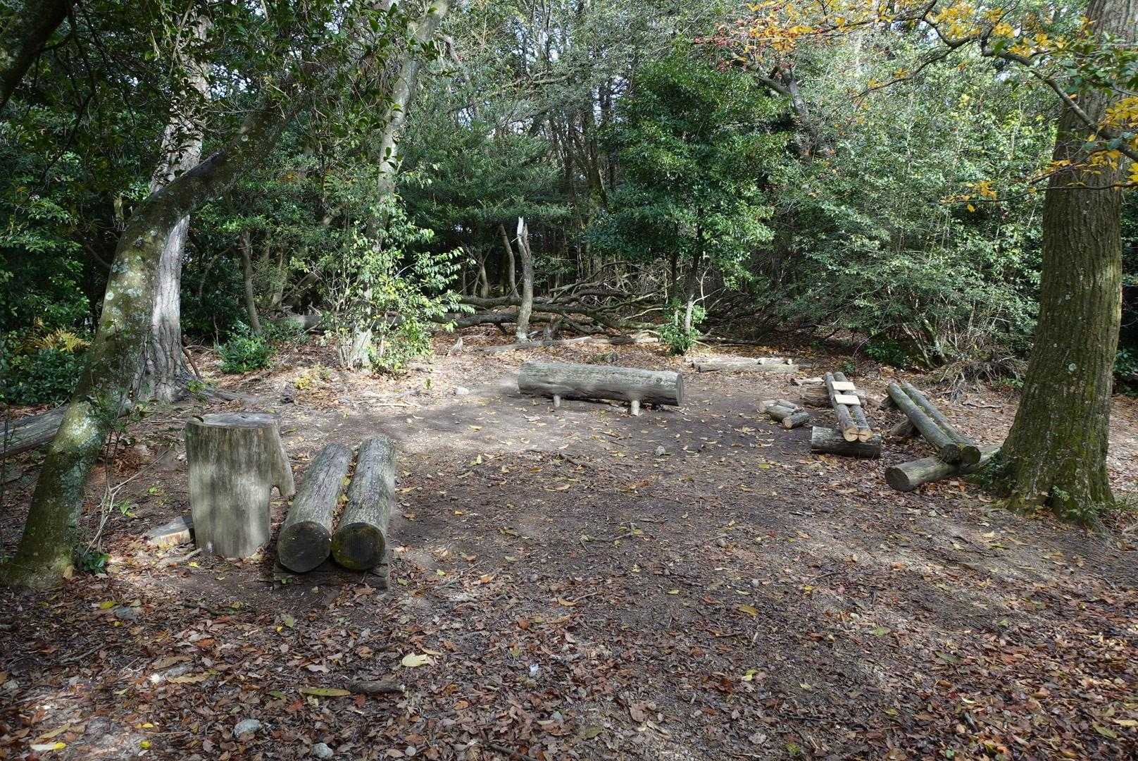 山頂直下にベンチあり🪑
でも眺望は山頂がGood👍