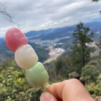 頂きものの3色団子🍡