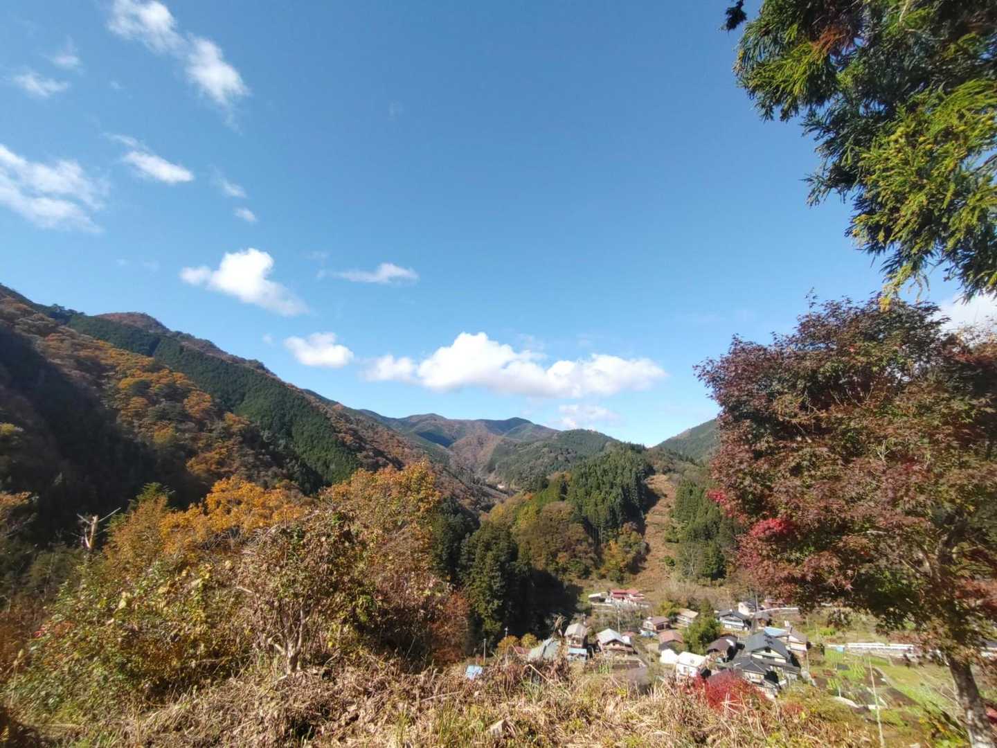 素晴らしい秋の空🍁
今日は気温も上がって此処では19℃もあった🤗
