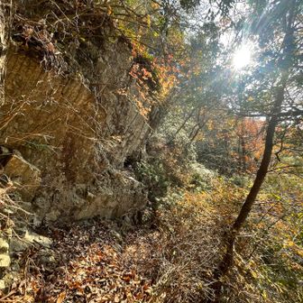 これなのかな🪨