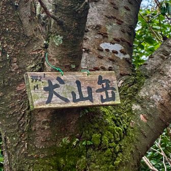 犬山岳登頂🙌
