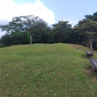 大根地山（おおねちやま）に到着🙌

山頂こんな感じで
蝶々が追いかけっこしてる
いい芝生の広場でした👍
展望もよく宝満山～三郡山や
反対側は耳納連山見えました✨
