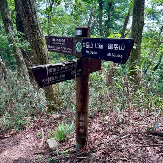 大岳山まで5.6→1.7kmまで減ったけど、まだまだ😅