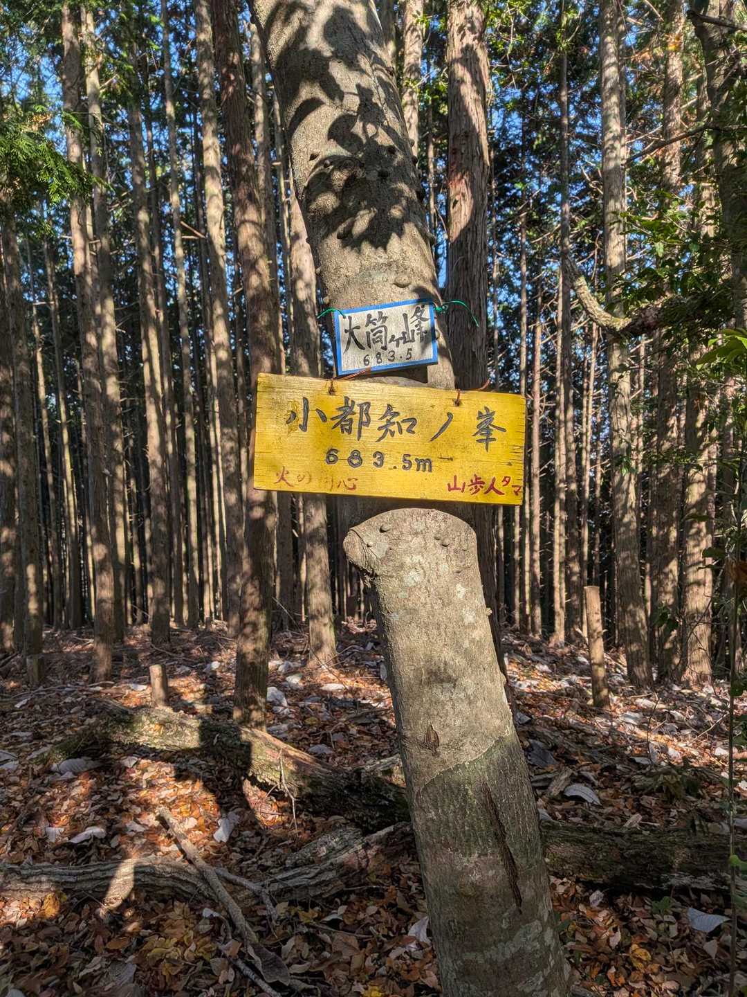 小都知ノ峯到着